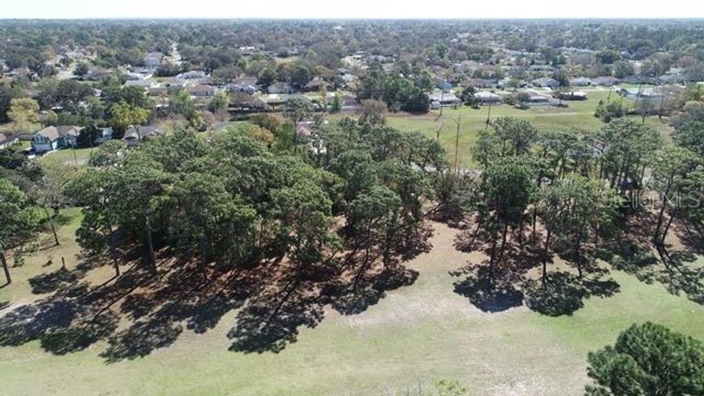 Photo of 5339 Keysville Avenue, Spring Hill, FL 34608 (MLS # W7873438)