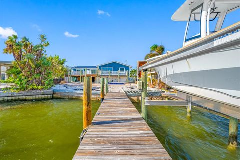 A home in ST PETE BEACH