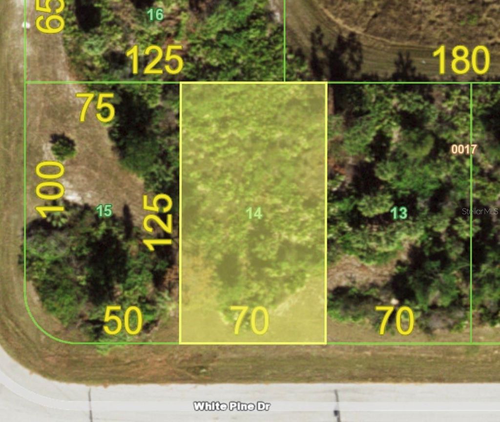 Photo of 155 White Pine Drive, Rotonda West, FL 33947 (MLS # D6146356)