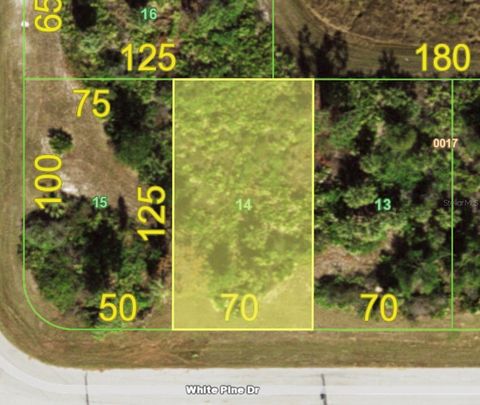 155 WHITE PINE DRIVE ROTONDA WEST FL 33947