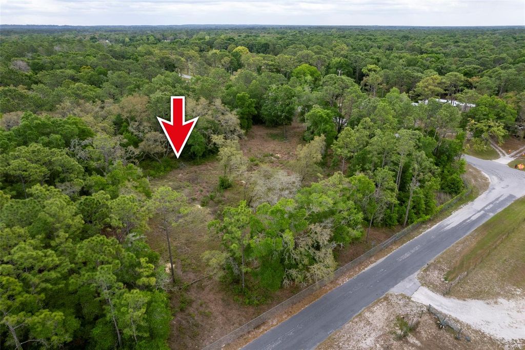 Photo of 6340 Arizona Street, Brooksville, FL 34604 (MLS # TB8495113)