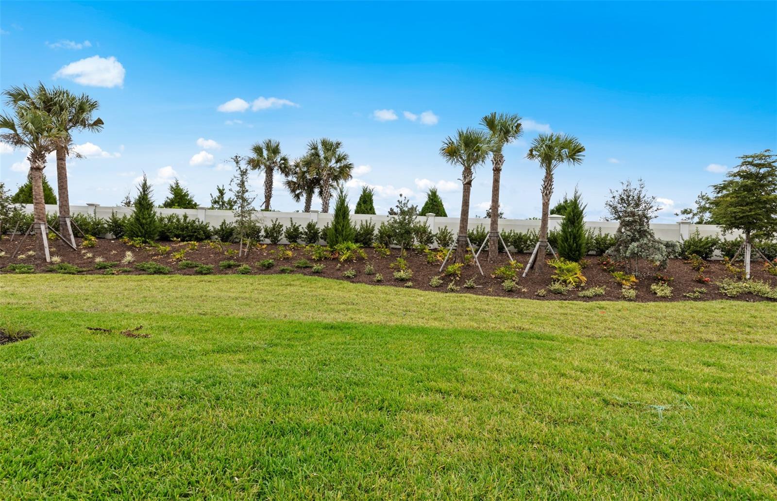 TALON PRESERVE ON PALMER RANCH - Residential