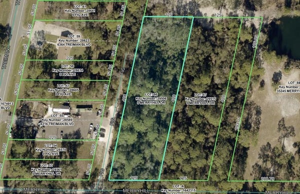 MERRYHILL DR, WEBSTER, FL 33597 - Image 81a8a2e4368ccd8f380c48e82f72ff72/1482624767