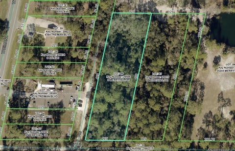 Photo of Merryhill Drive, Webster, FL 33597 (MLS # TB8546216)