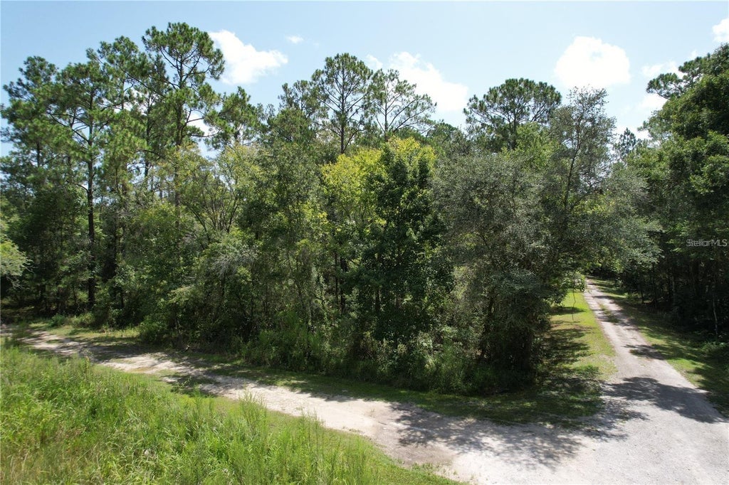 Photo of Merryhill Drive, Webster, FL 33597 (MLS # TB8546216)