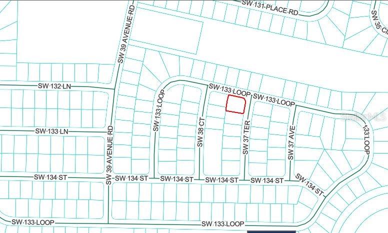 SW 133 LOOP