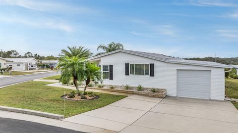 A home in ZEPHYRHILLS