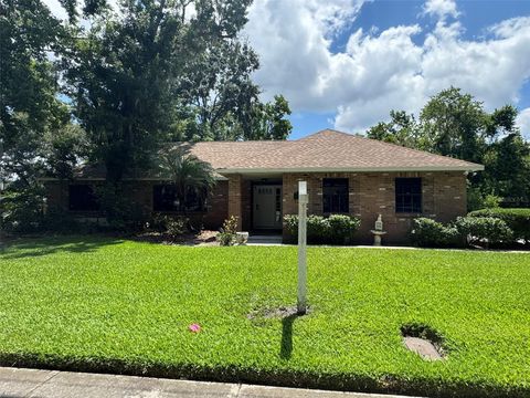 3405 HOLLAND DRIVE BRANDON FL 33511