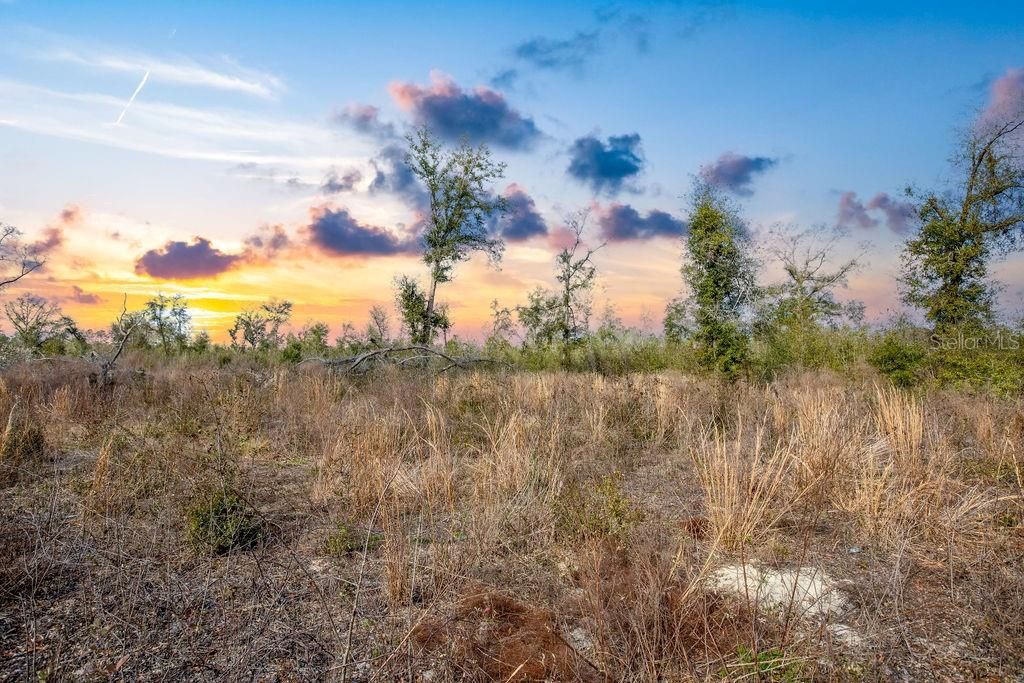 Photo of Tbd Walker Place, Live Oak, FL 32060 (MLS # GC538429)