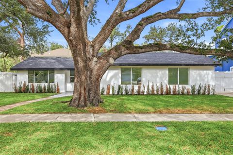 2815 W BAY HAVEN DRIVE TAMPA FL 33611