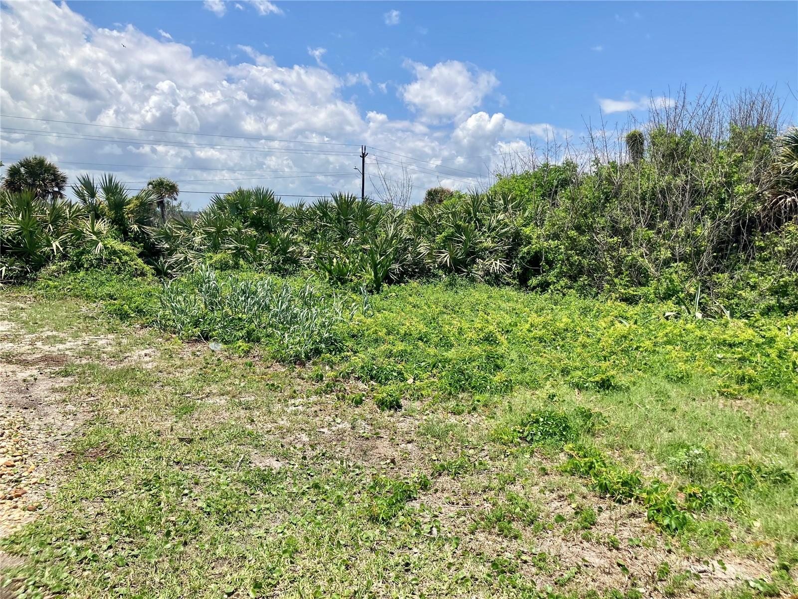 BETHUNE VOLUSIA BEACH - Land