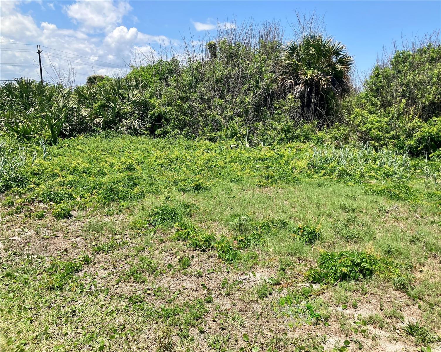 BETHUNE VOLUSIA BEACH - Land