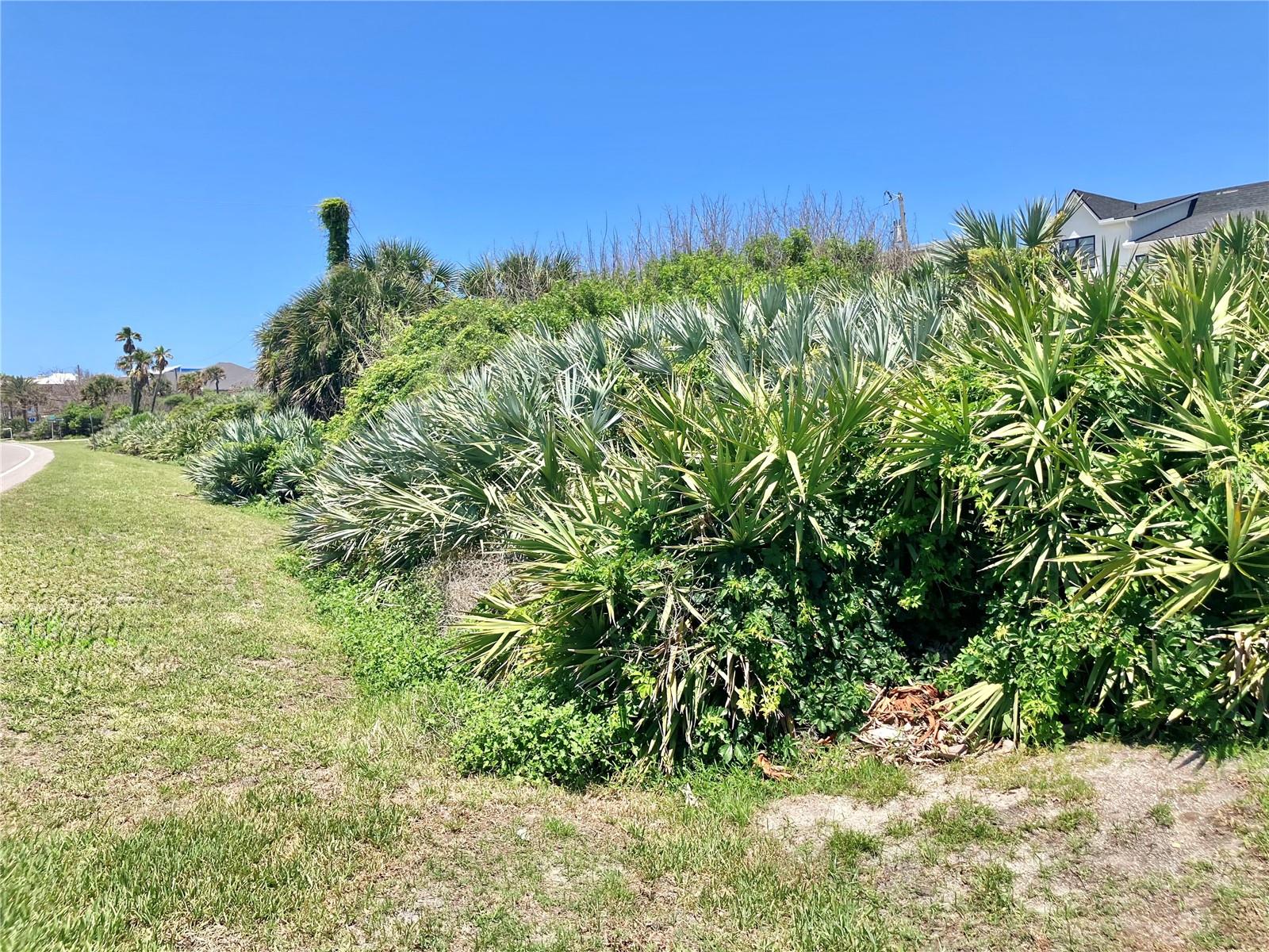 BETHUNE VOLUSIA BEACH - Land