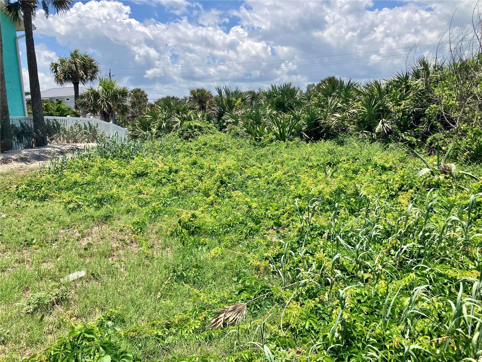 BETHUNE VOLUSIA BEACH - Land