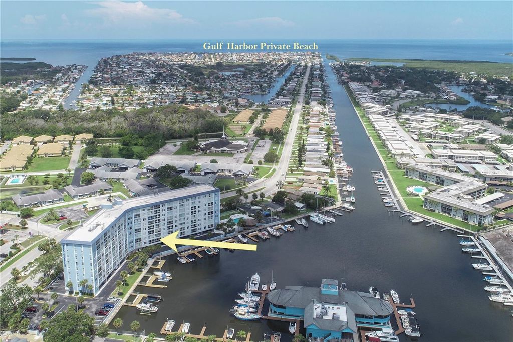 Photo of 4939 Floramar Terrace #203, New Port Richey, FL 34652 (MLS # W7876762)