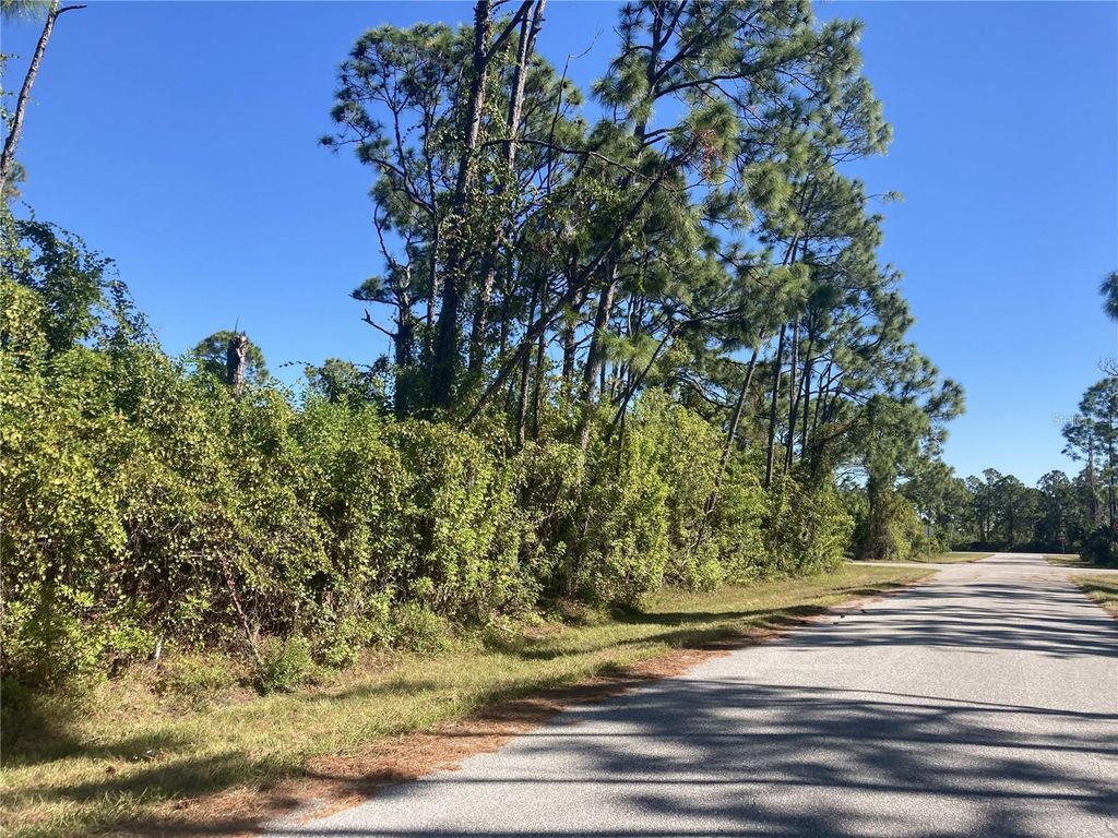 Photo of 12396 Sylvan Street, Port Charlotte, FL 33981 (MLS # D6144756)