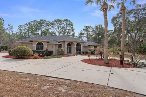 Tiny photo for 3337 N Yacht Terrace, Beverly Hills, FL 34465 (MLS # OM718734)