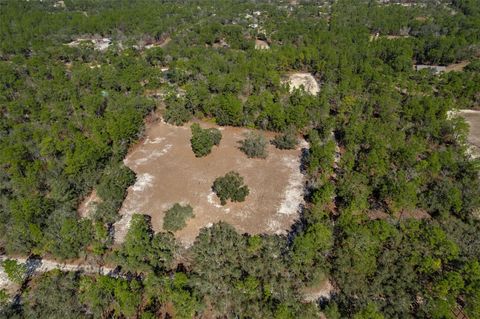 Tiny photo for 3337 N Yacht Terrace, Beverly Hills, FL 34465 (MLS # OM718734)