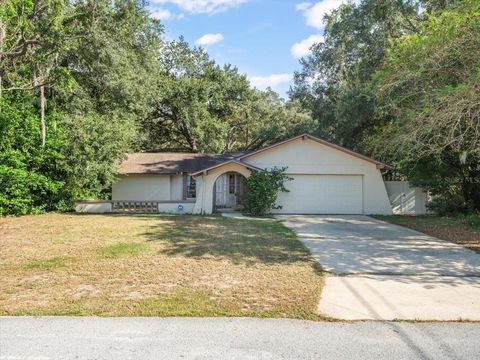 Photo of 8316 Kingsdale Street, Spring Hill, FL 34608 (MLS # TB8425222)