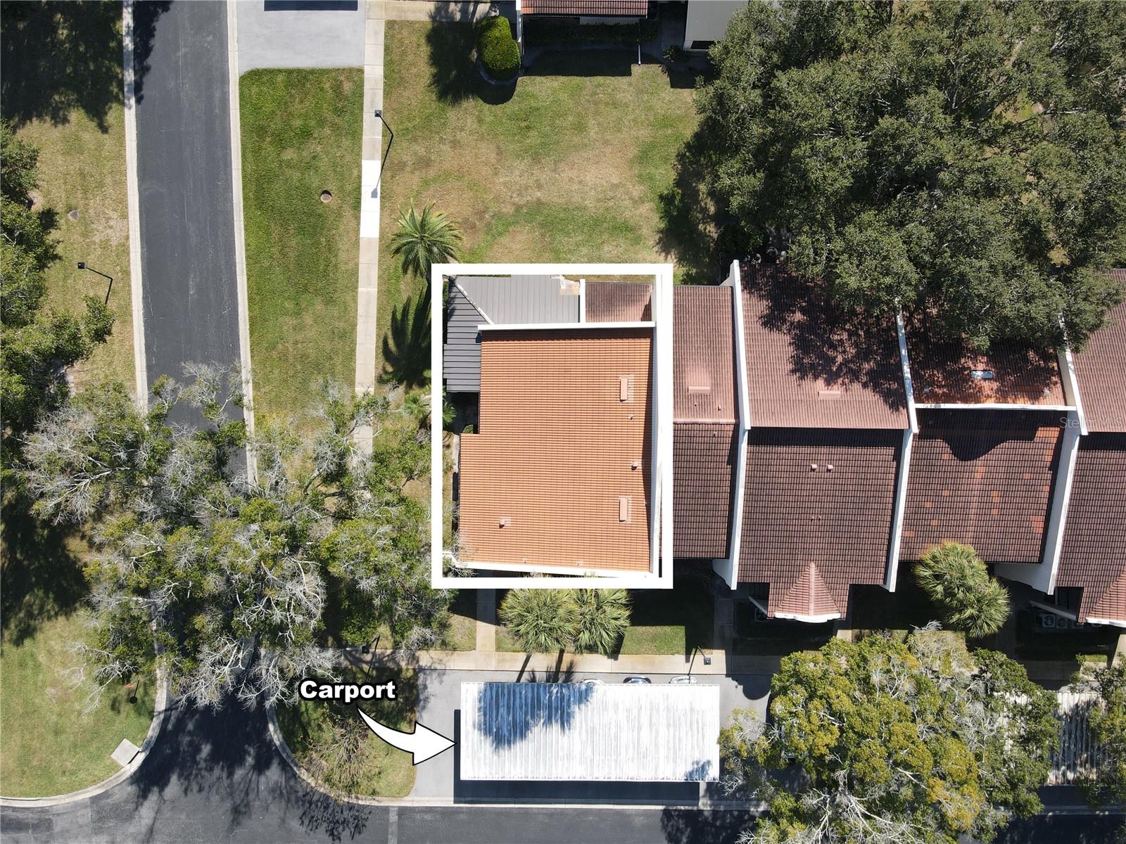 TARPON WOODS CONDO - Residential