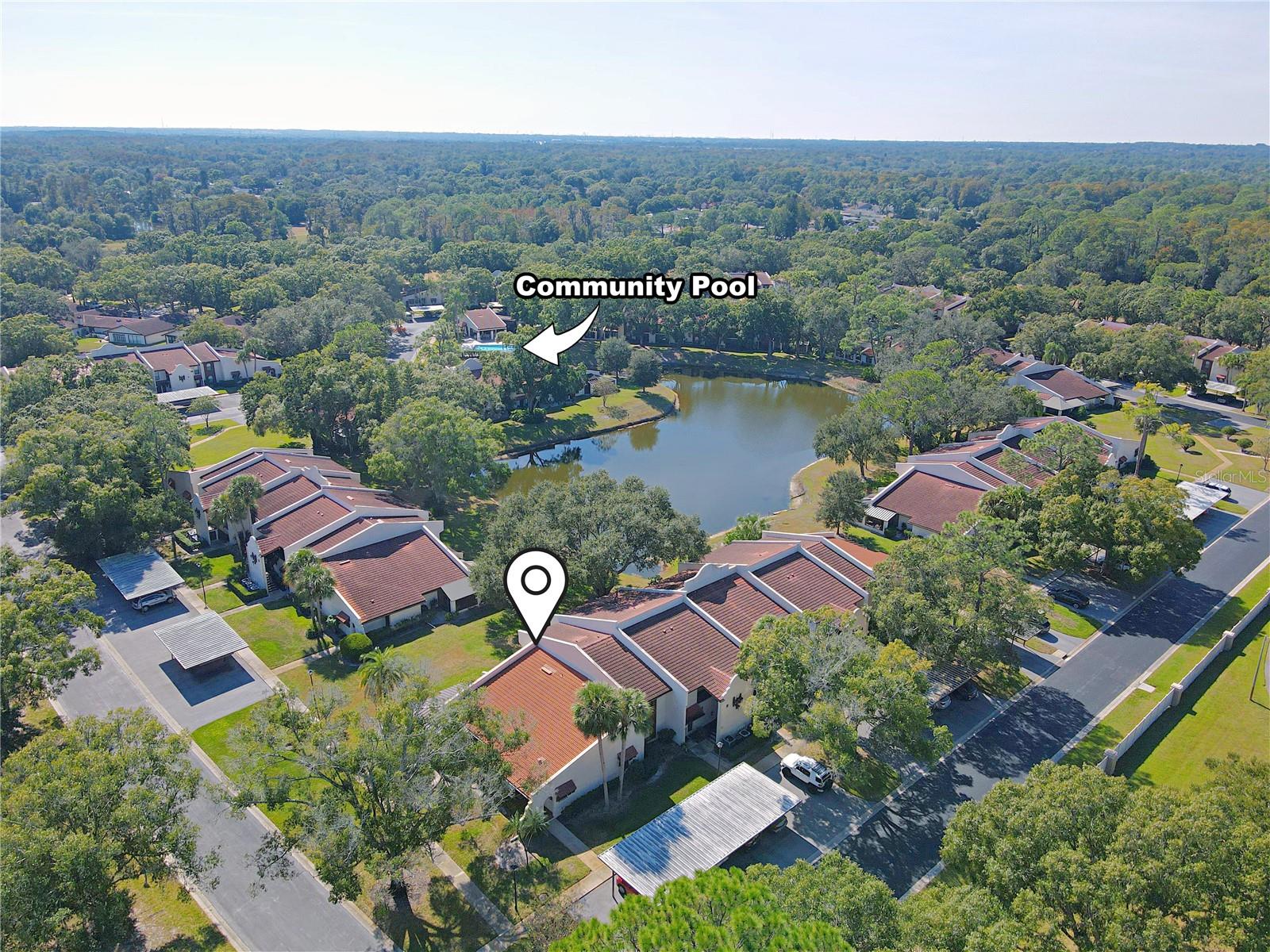 TARPON WOODS CONDO - Residential