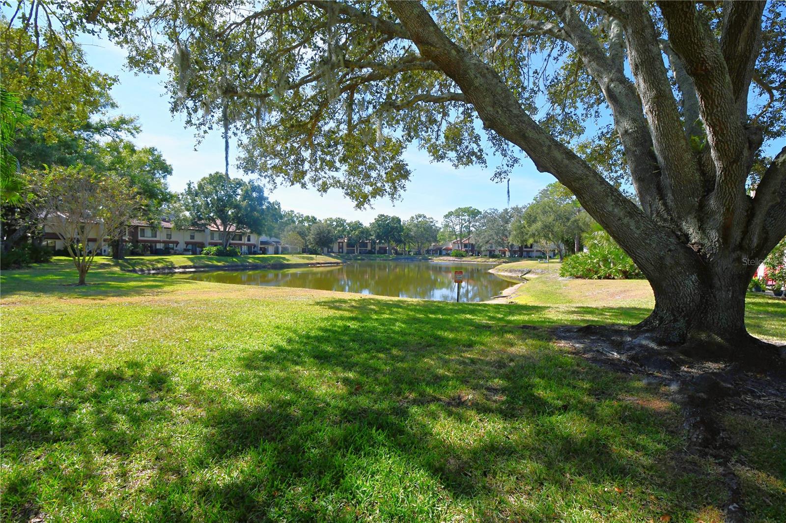 TARPON WOODS CONDO - Residential