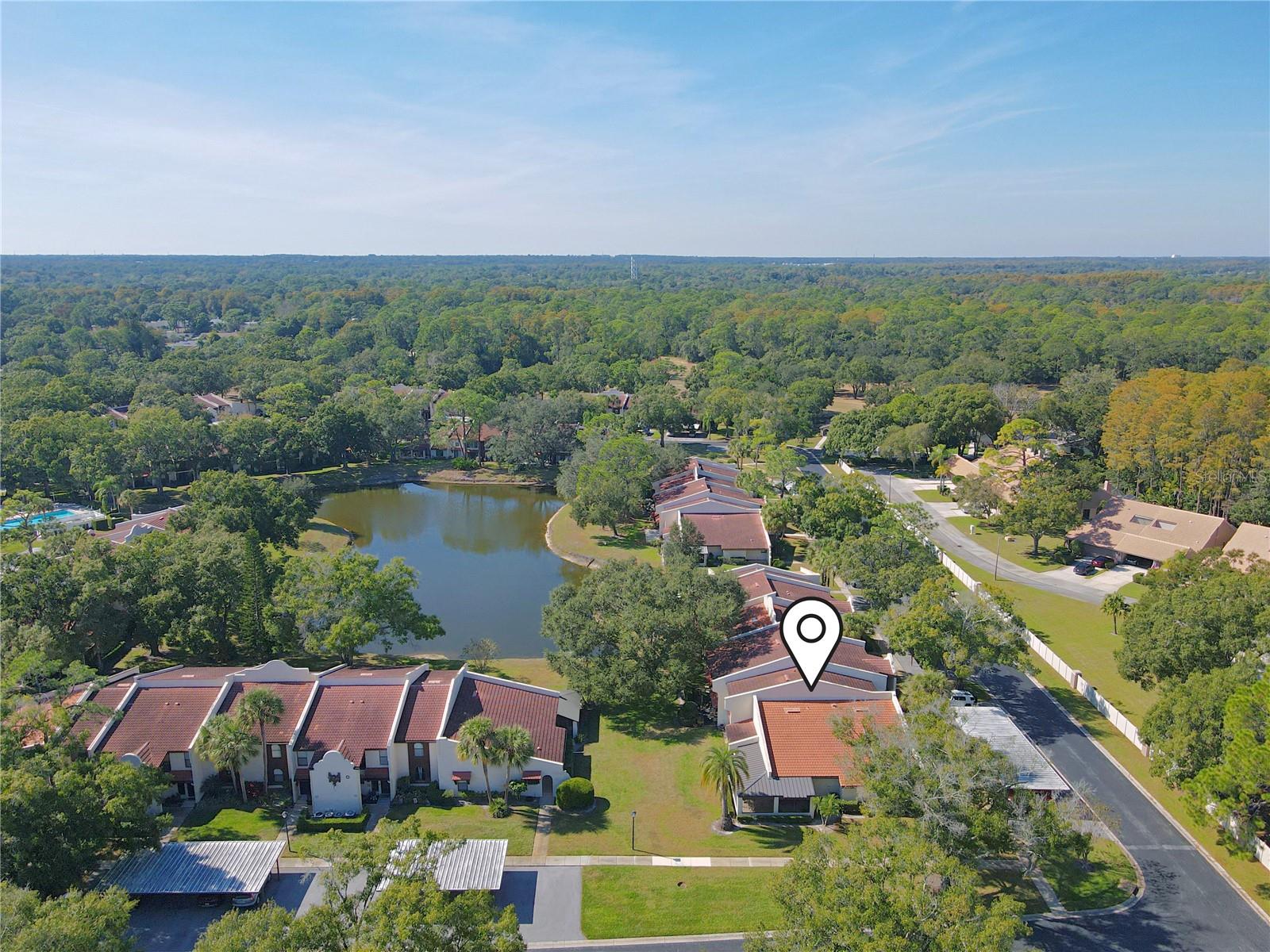 TARPON WOODS CONDO - Residential