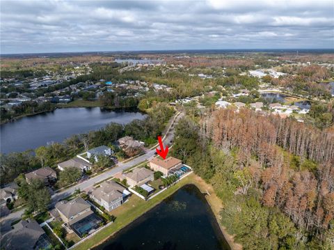 A home in LAND O LAKES