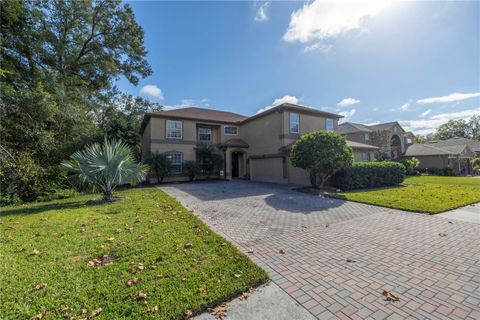 A home in LAND O LAKES