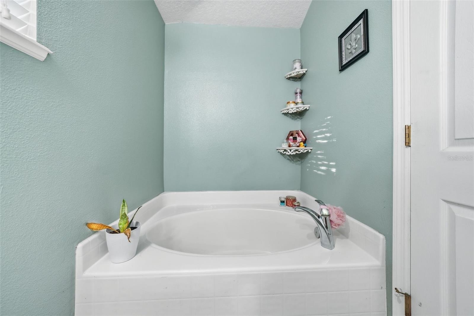 PATTERSON GROVES - Residential