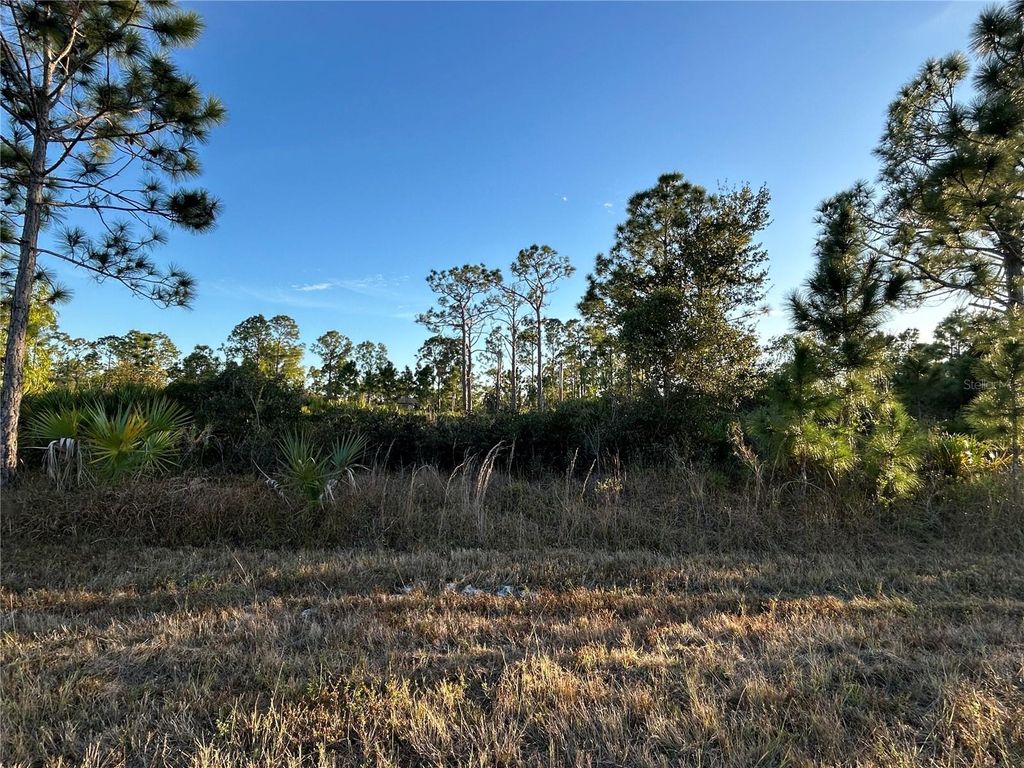 Photo of 12157 Gisinger Boulevard, Port Charlotte, FL 33981 (MLS # C7520221)