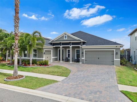 11851 LAKE LUCAYA DRIVE RIVERVIEW FL 33579