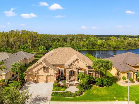 A home in LAND O LAKES