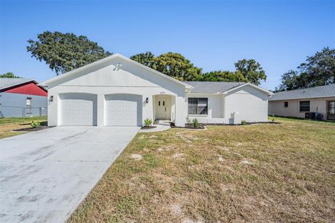 Photo of 8393 Camphor Drive, Spring Hill, FL 34606 (MLS # TB8431316)