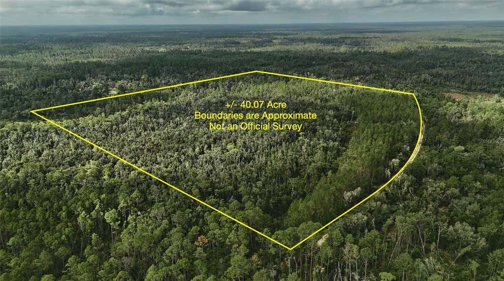 Photo of 00 SW Bee Tree Road, Madison, FL 32340 (MLS # OM730036)
