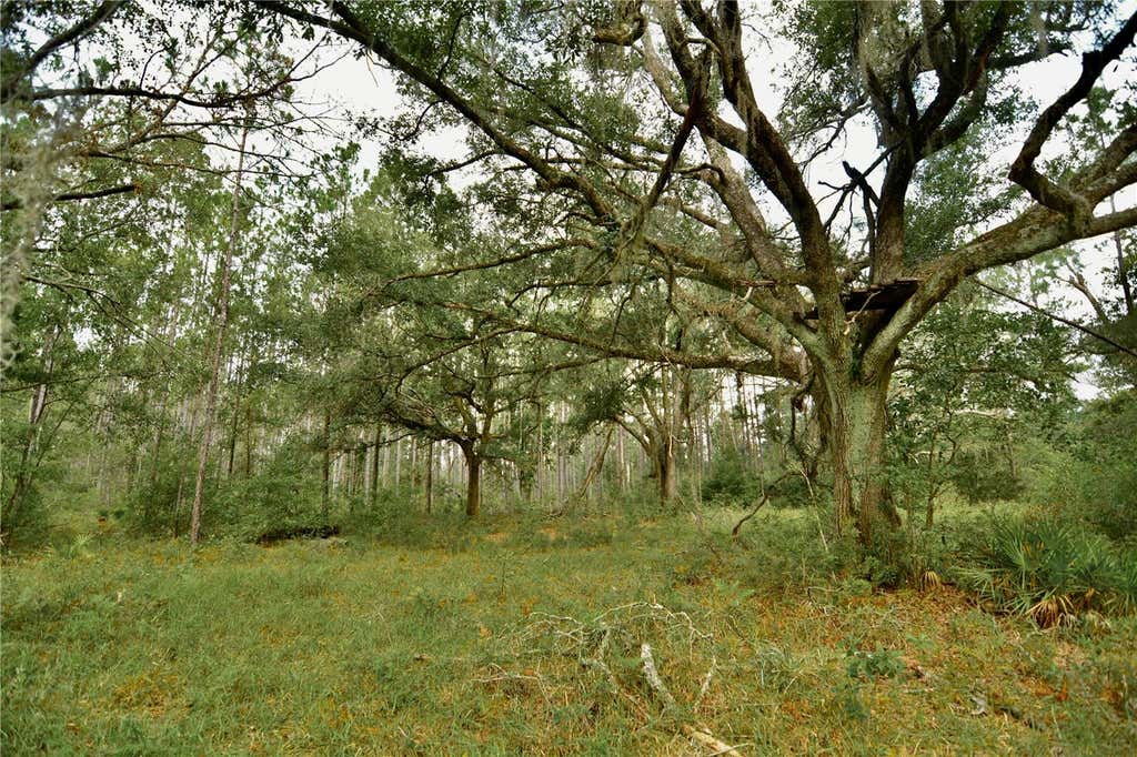 Photo of 00 SW Bee Tree Road, Madison, FL 32340 (MLS # OM730036)