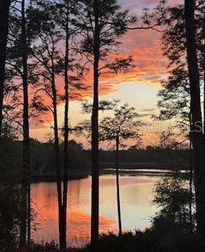 This Lakefront Oasis is where you, your friends and family will make memories to last lifetimes and generations!! Nestled in the Ocala National Forest located 20 minutes east of Silver Springs, Fl on Shoesole Lake with evening views of sunsets over the lake that rival the best in the world! Nature Lovers dream of places like this. Hiking in any direction from your front door may surprise you with an animal encounter that will delight you. Birds abound! Eagles, hawks, osprey, owls, turkey, sandhill cranes and blue herons. Critters abound! Deer, Bear, Foxes, Bobcats, Racoons top the list of many species of animals to be seen and enjoyed. Swim and fish Shoesole Lake, no water skiing though, the Forestry Service limits boats to under 10HP! Check out the photos, cute cute cute! Sliding glass doors provide a view of the lake that is soooo relaxing. That’s why you came out here, right? This a Forest Service permit on leased land owned by the federal government with the next 20 year renewal in 2028. Annual lease payments in the neighborhood of $1950/yr. Full time residency is not allowed and a primary residence must be maintained elsewhere. Vacation Rentals are not allowed. No renting/leasing of any kind is allowed. No investor ownership is allowed. Buyer is also responsible for annual tangible property taxes which are $492/yr.