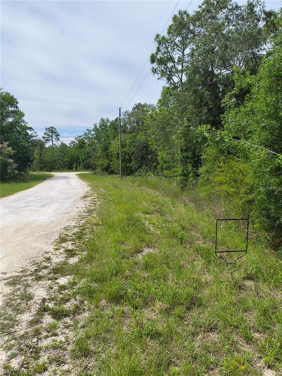 CAYMAN ROAD