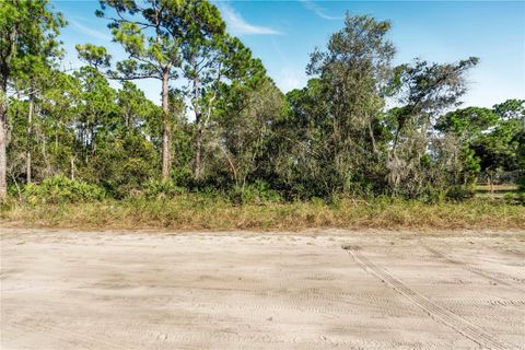 35 FYFE AVENUE DEBARY FL 32713