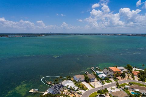 A home in ST PETE BEACH