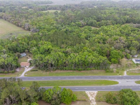 Photo of 17819 Sr-25, Micanopy, FL 32667 (MLS # O6406090)