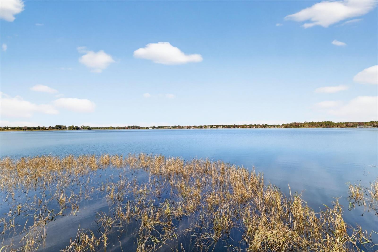 COUNTRY CLUB MOUNT DORA - Residential