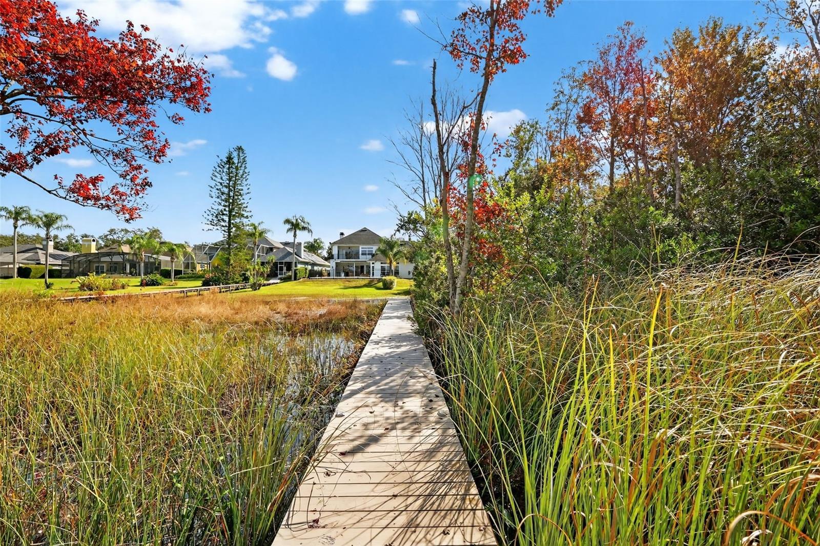 COUNTRY CLUB MOUNT DORA - Residential