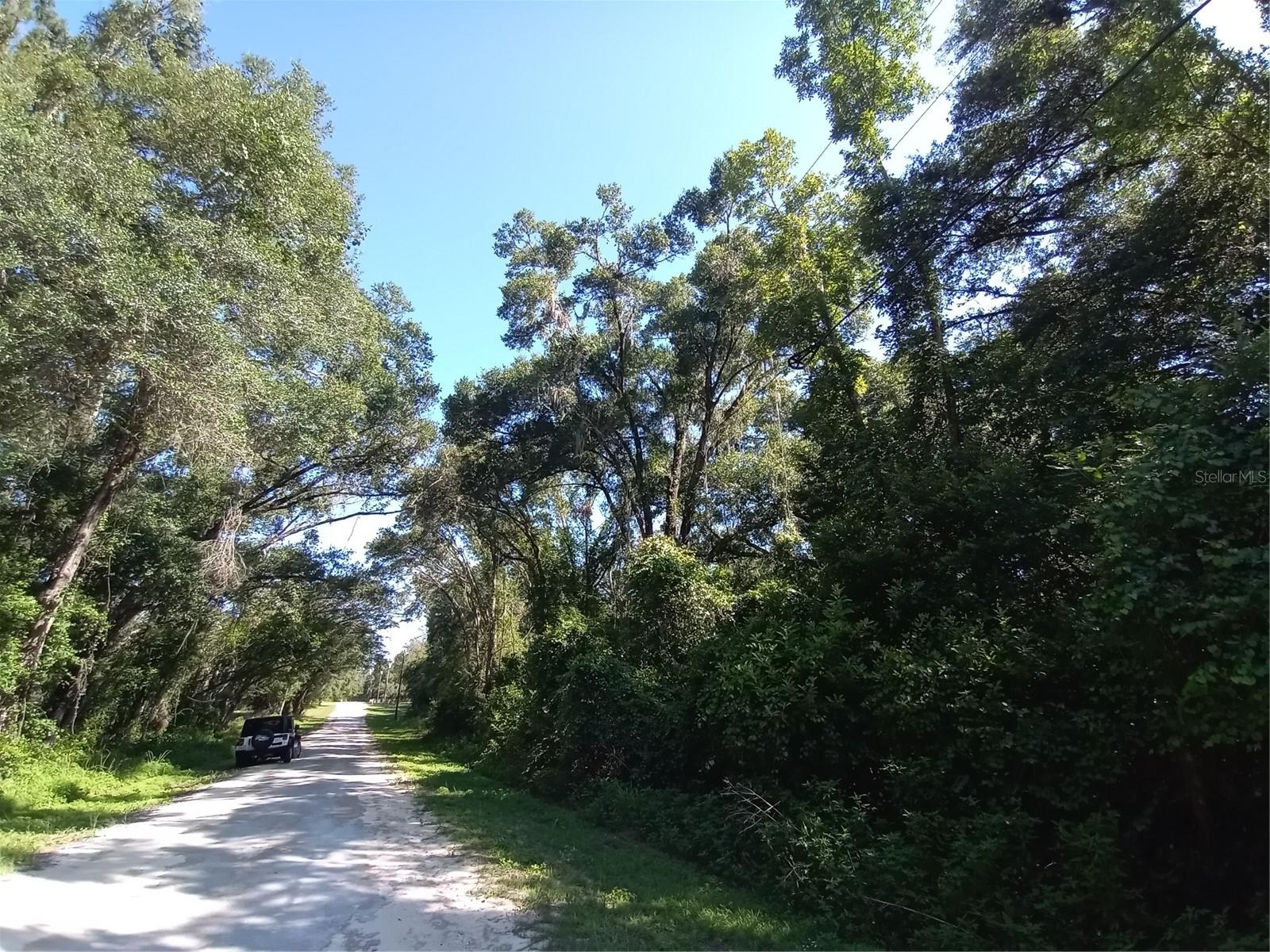 Absolutely gorgeous 1.16 acres ALL HIGH AND DRY , with towering majestic trees to provide plenty of shade for your CUSTOM COUNTRY ESTATE. Completely fenced, this awesome piece of property ensures complete privacy and room for your home, assessory building, and pool! The rural community of Ridge Manor is located just a 6 minute drive from I-75, situated between Dade City and Brooksville, making it convenient for shopping and restaurants. Come enjoy a country setting in a community that offers a park with picnic areas, baseball fields, and playgrounds. Schedule your private showing today, and secure this gem for yourself--the perfect property!!
