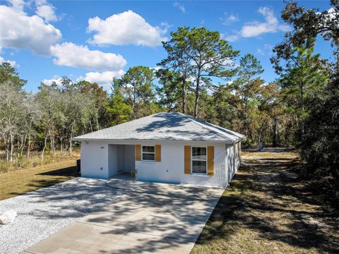 Photo of 10627 S Tartan Point, Homosassa, FL 34446 (MLS # O6371883)