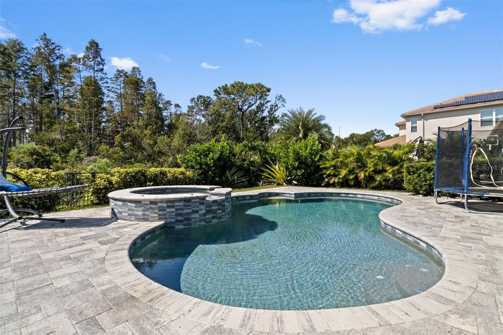 Photo of 30362 Ceasar Park Drive, Wesley Chapel, FL 33543 (MLS # TB8441458)