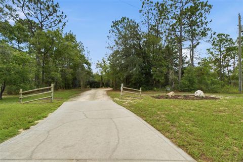 Tiny photo for 7755 N Pocono Drive, Citrus Springs, FL 34434 (MLS # OM728140)