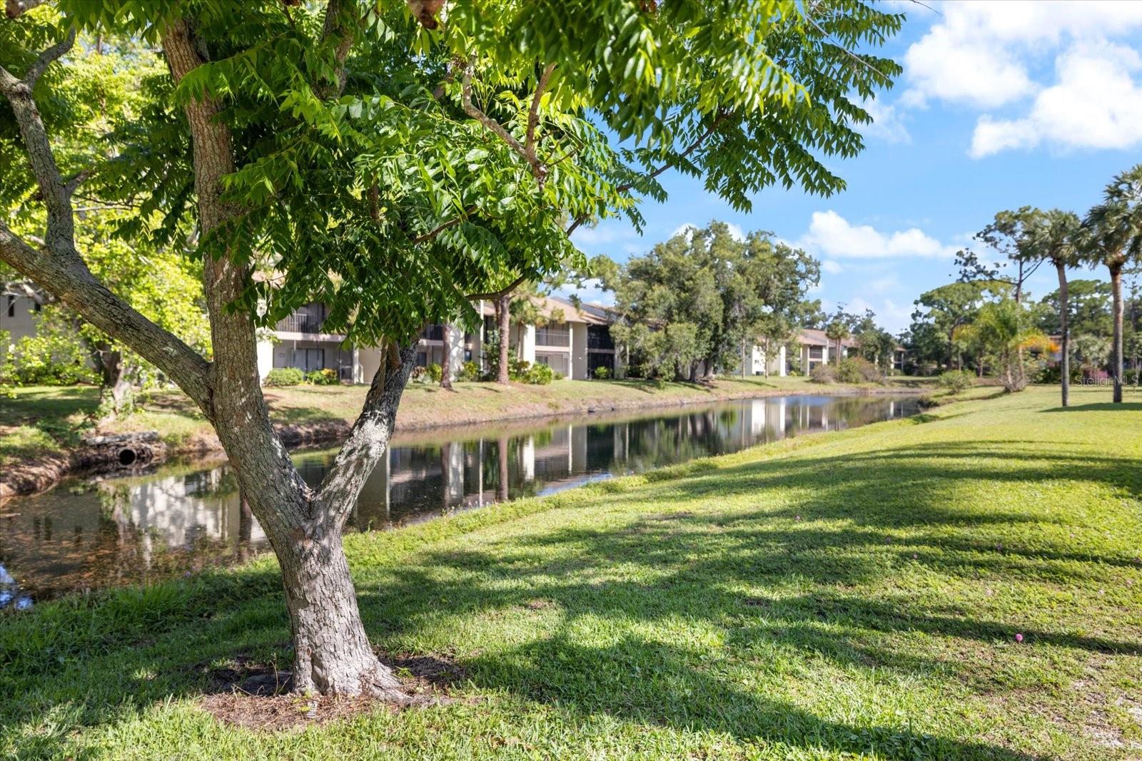 BIRD BAY V - Residential