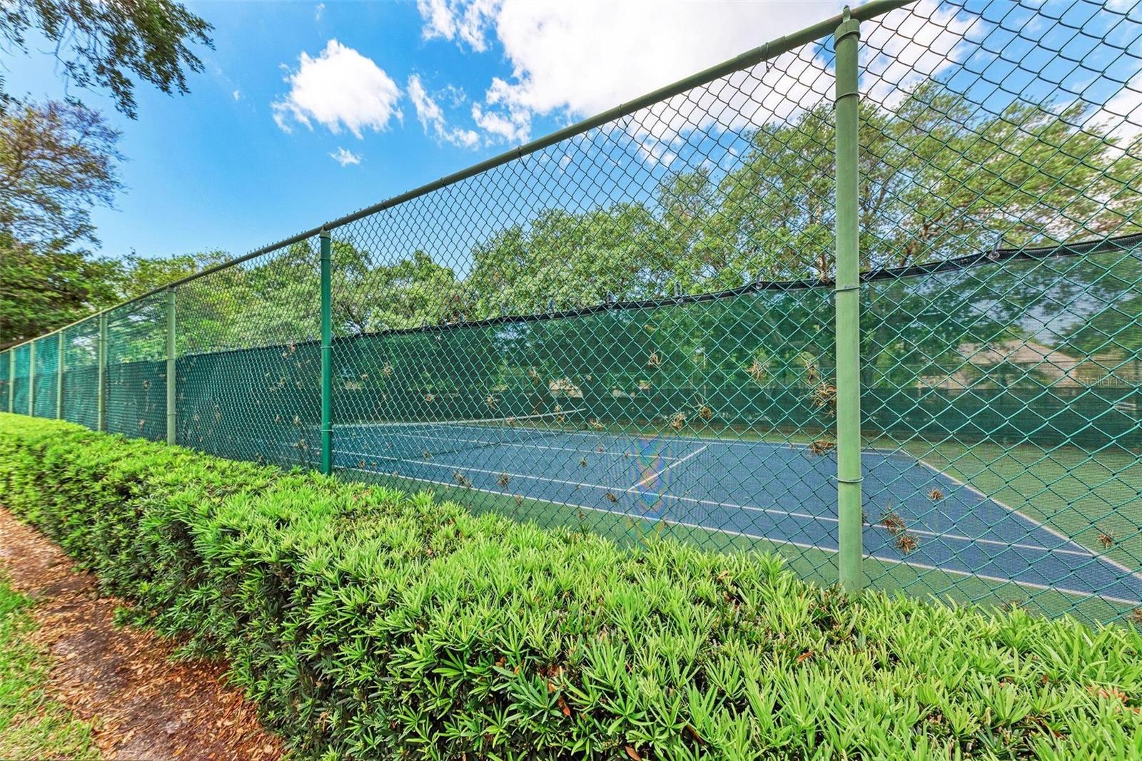 HARBOR PINES - Residential