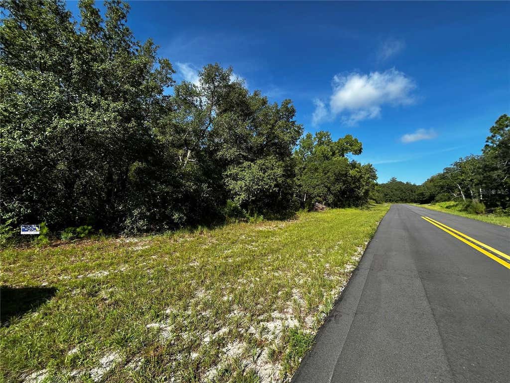 Photo of SW 148th Pl Road, Ocala, FL 34473 (MLS # A4702089)